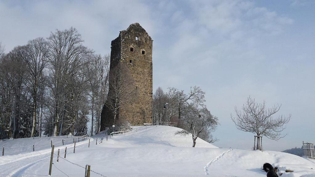 Ferienwohnung-Burgblick-In-Neuravensburg Luaran gambar